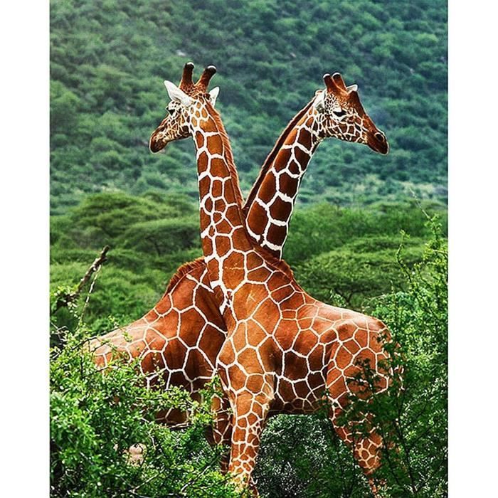 T-shirt Homme Harley-Davidson - Blanc, Taille S, 100% Coton, Neuf Avec étiquettes