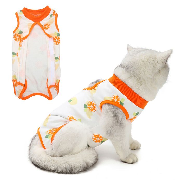 Chemise Déguisement Halloween Fille Chat, Limited Too, Taille 14, Neuve Avec étiquettes