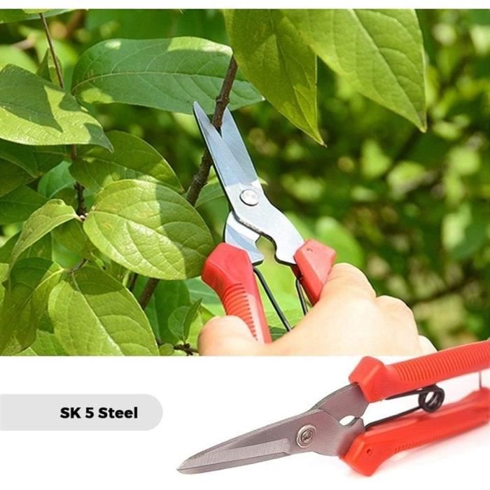 Cisailles De Jardinage - Tondeuses De Jardin Sécateurs Coupe-Arbres