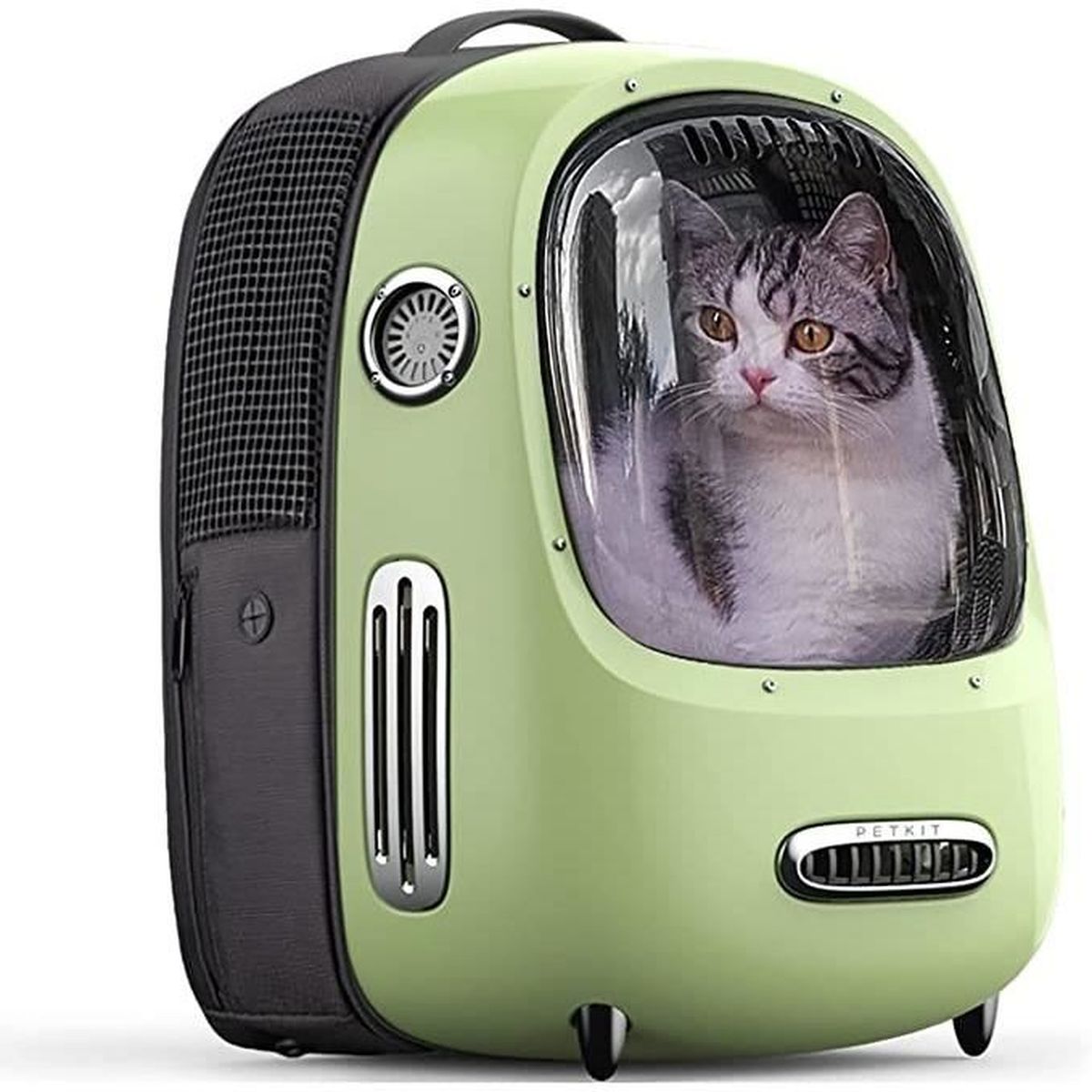 Manoscritto Lunghezza Artico Sac A Dos Pour Chat Ammissione Passaggio Tulipani