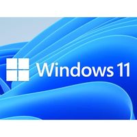 Windows 11 Pro Professionnel.
