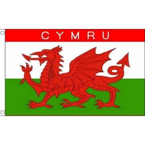 Drapeau Pays De Galles Cdiscount