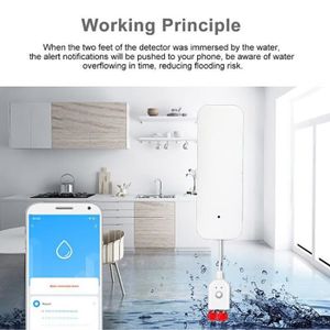 DÉTECTEUR D'INONDATION BEL-7423054905221-Alarme de fuite d'eau Smart water overflow and flood detector for smart WiFi water leak alarm - Real-time bricolag