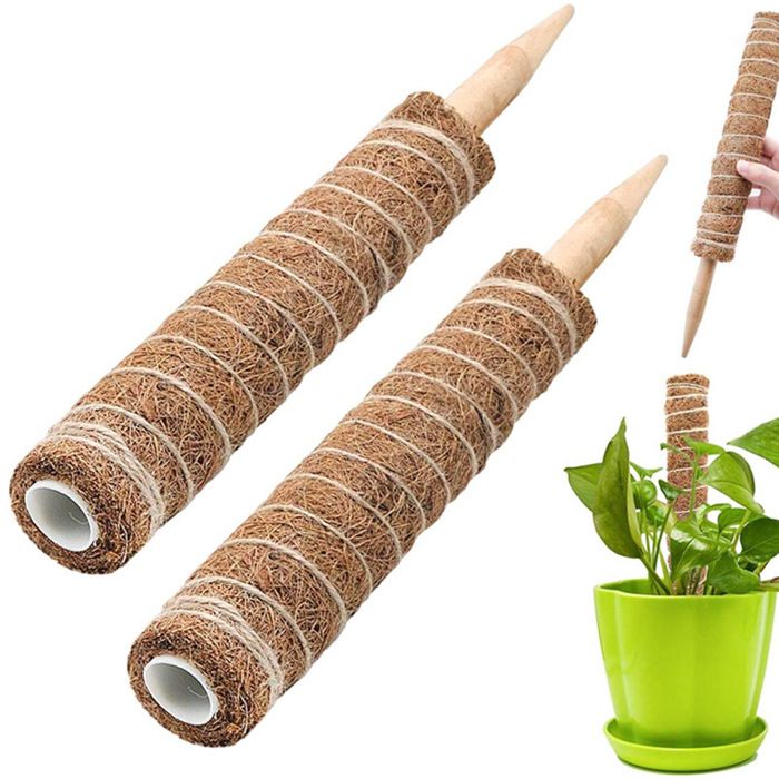 Set De Supports Pour Plantes Grimpantes En Acrylique - Formes U, Rondes Et Droites (40cm, 33cm) - Treillis Transparent Pour Plantes D'Intérieur/Extérieur