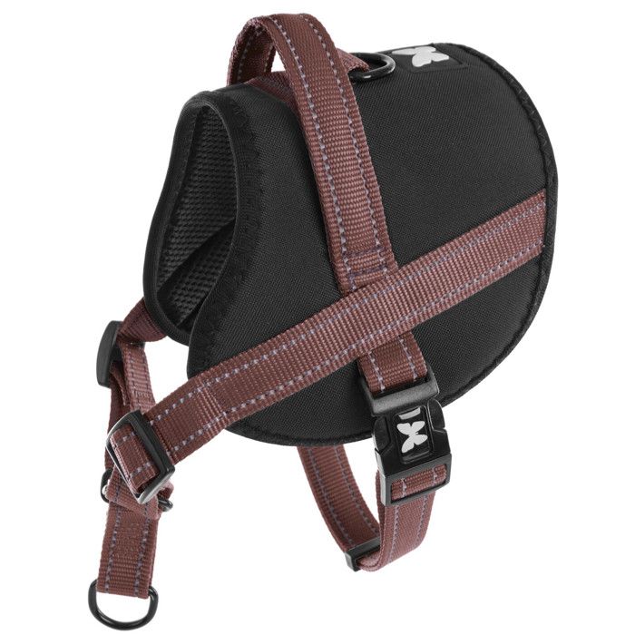 Laisse et harnais pour chien Martin Sellier H&S - Marron - XS