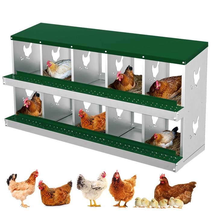 Pondoir Poules Pondeuses 10 Compartiments Poulailler en Acier Galvanisé Récolte des Œufs Facilitée  Pratique Pied Vert