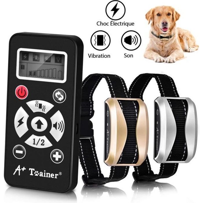 Collier de Dressage Électrique Rechargeable pour 2 Chiens, Étanche IPX6 ...
