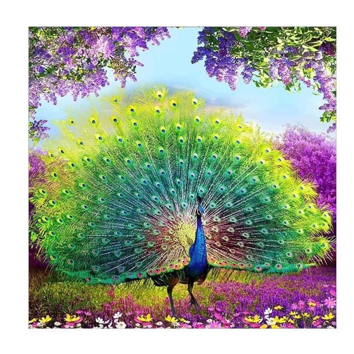 Bimkole 5D Diamond Painting DIY Kits Panda, Fleur, Animal Broderie