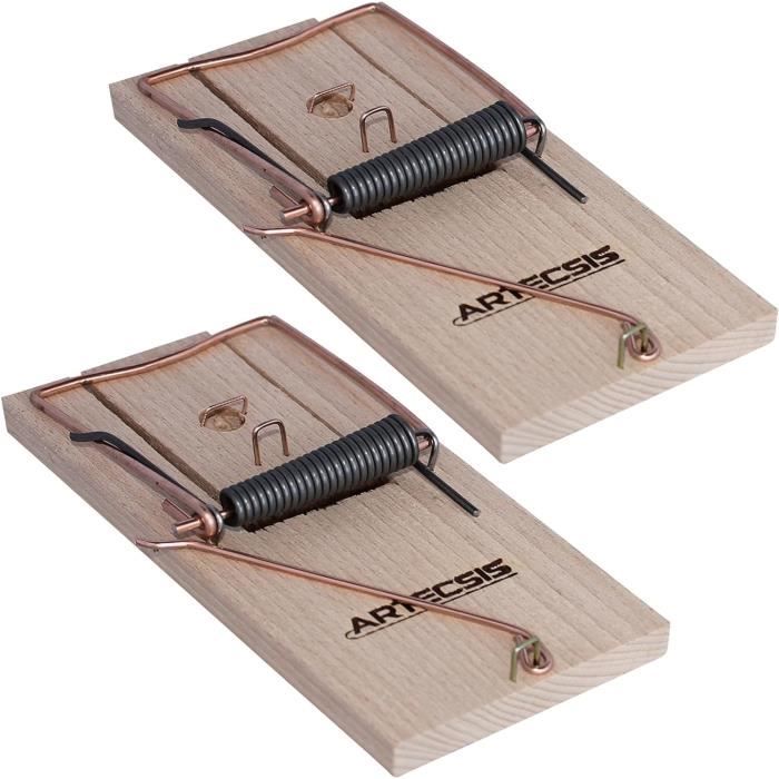 Lot De 2 Pièges Anti-puces - Chargement USB - Inodore Et Non Toxique - Anti- Puces Naturel - Pour Tapis, Lits, Canapés, Animaux Domestiques