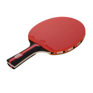 Lot De 10 Jeux De Raquettes De Ping-Pong (Neufs, Pour Revendeurs)