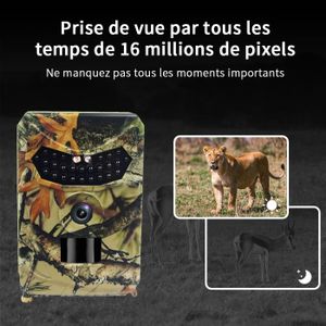 Quelle caméra de chasse choisir pour capturer des photos haute résolution - Camera de chasse