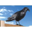 Effaroucheur à pigeons - Design de corbeau - Noir - Plastique - 200x120x480mm-0