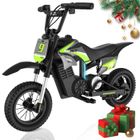 RCB R9XPRO Moto Électrique pour Enfants - Moteur 350W - Batterie 36V/5.2Ah - Vert