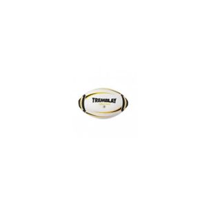 DRAPEAU - BANDEROLE Ballon de rugby scolaire Tremblay - Jaune/Blanc - 