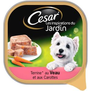 BOITES - PATÉES Veau carottes terrine pour chien 300 g CESAR®