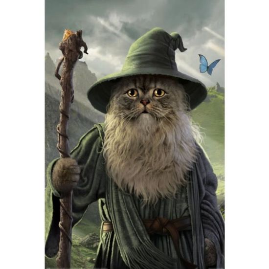 Poster Métal Le Seigneur Des Anneaux – Déco Murale Rétro 20 X 30 Cm – Style Vintage