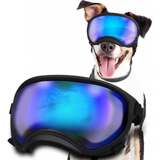 de protection pour chien avec sangle réglable, de soleil coupevent et anti