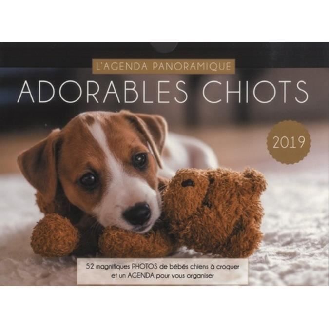 Adorables Chiots 52 Magnifiques Photos De Bebes Chiens A Croquer Et Un Agenda Pour Vous Organiser Edition 19 Cdiscount Beaux Arts Et Loisirs Creatifs