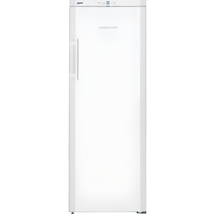Congélateur armoire GP2733-21
