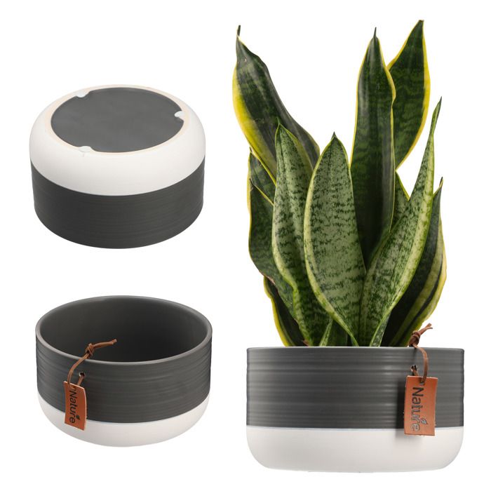 Capeur à Vis Kadax FI82 Mm, Ensemble De Couvertures Torsadés En Métal, Couvercle De Remplacement Pour Pots Mason, Couvercle Avec 6 Dents De Colonne Montante Pour Les Pots De Lutin Et De