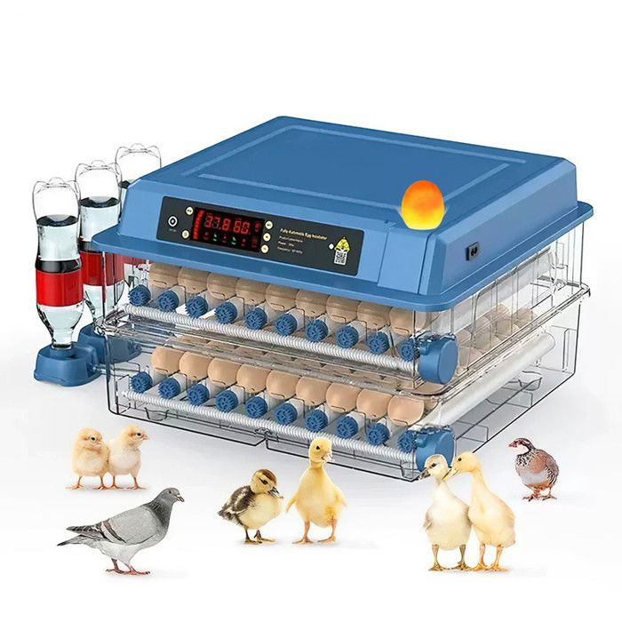 Couveuse A Oeuf Automatique - Couveuse A 120 Oeuf Automatique Double Alimentation 220V/12V Incubateur Dœufs Intelligent Température