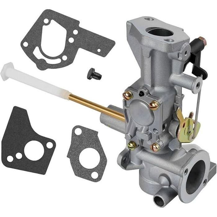 Carburateur 498298 pour Briggs & Stratton réf 692784/495951/495426/112202