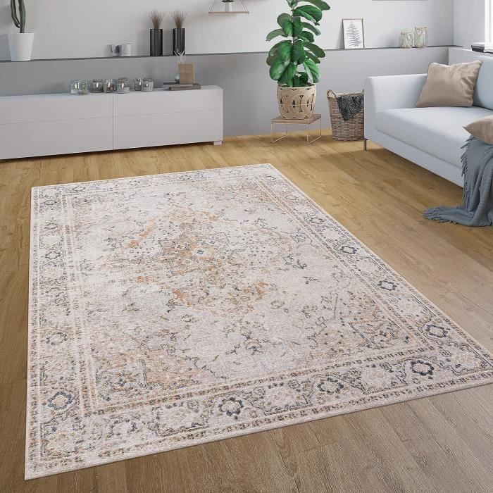 Paco Home Tapis De Salon Poils Ras Tapis Vintage Motif Abstrait Moderne Géométrique Gris 80x150