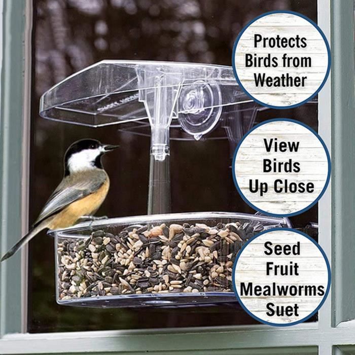 Mangeoire à Oiseaux Extérieure Avec Fenêtre Transparente Et Ventouses - Séparation Humide/Sèche Pour Oiseaux Sauvages Mésanges Cardinaux