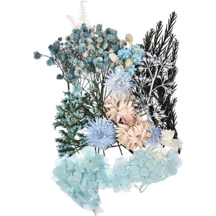 Fleurs Séchées, Fleurs Sechees Naturelles Fleur Séchée Pour Bougies