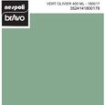Aérosol peinture professionnelle vert olivier 400 ml, NESPOLI-1