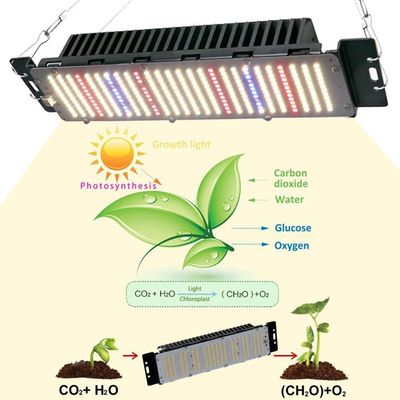 Ampoule LED Croissance Plantes ALQFFHL 50W - Spectre Complet E27 Pour Intérieur/Hydroponie