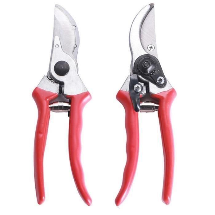 Ciseaux De Plantes D'intérieur Haut De Jeu | Cameroon