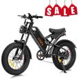 Vélo électrique tout-terrain Ailife X20B 1000W 48V15Ah avec pneu 4.0 Fat et double absorption des chocs-0