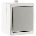 AJ VAPE Va-et-vient simple Gris Clair IP54 - Akya