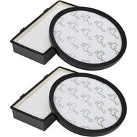 2 Pack Filtres HEPA Pour Aspirateur Cyclonique X-Trem Power RO6984EA RO6941EA RO6963EA RO6921EA RO6971EA