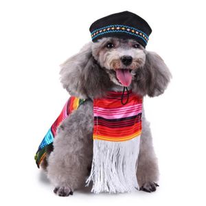 S Noir Chiot Chiens Vetements Animal Animal De Compagnie Chien Chat Chauve Souris Vampire Halloween Costume Fantaisie Ailes Manteau Habits Pour Chien S Noir Chiot Chiens Vetements Animal Animal De Compagnie Chien Chat Chauve Souris Vampire Halloween Costume Fantaisie Ailes Manteau Habits Pour Chien