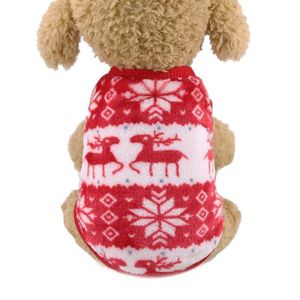 Manteau chihuahua store xxs