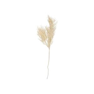 FLEUR ARTIFICIELLE Plante artificielle Tige de fougère asperge Present Time - blanc - 25,4x86,4 cm