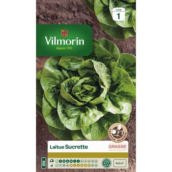 Graines De Laitue Merveille Des 4 Saisons BIO - Sachet 3g - Les Graines Bocquet - Certifié ECOCERT