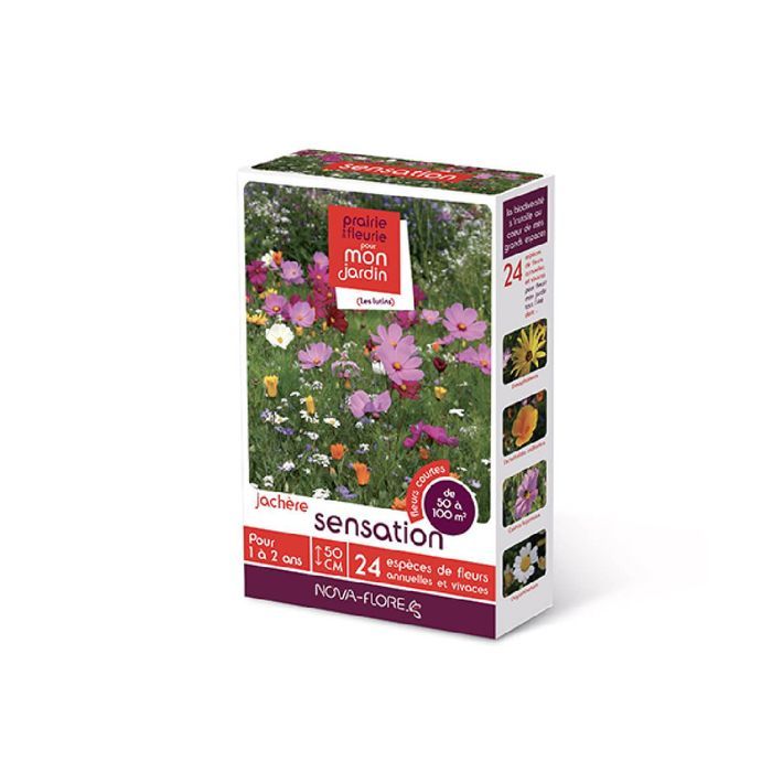 Prairies fleuries : modéle Sensation 100 m2