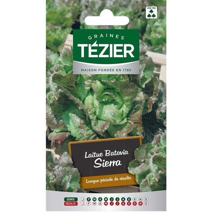 Sachet Graines - Tezier - Laitue Batavia Rouge Sierra (G.B.) - Sachet légume petit modèle - (Mois de semis de 2 à 9)