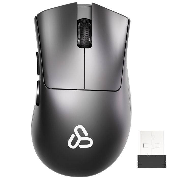 Souris sans Fil Silencieuse SDLOGAL 1200 DPI Avec Récepteur USB Mouse Compacte pour Ordinateur Portable PC Mac Gris