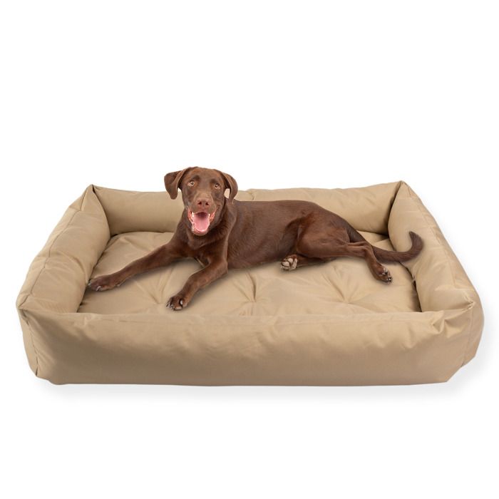 Meilleurs prix pour Lit pour Chien Panier Coussin Canapé L 120x80 cm Grande Taille Beige PET ZEN Étanche Lavable