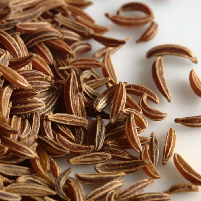 Graines De Cumin Faux Anis - Sachet Par Les Graines Bocquet | Maraîchage Bio, Jardinage Naturel - 8