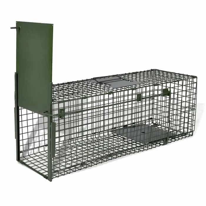 Pige Rat Castoramanull