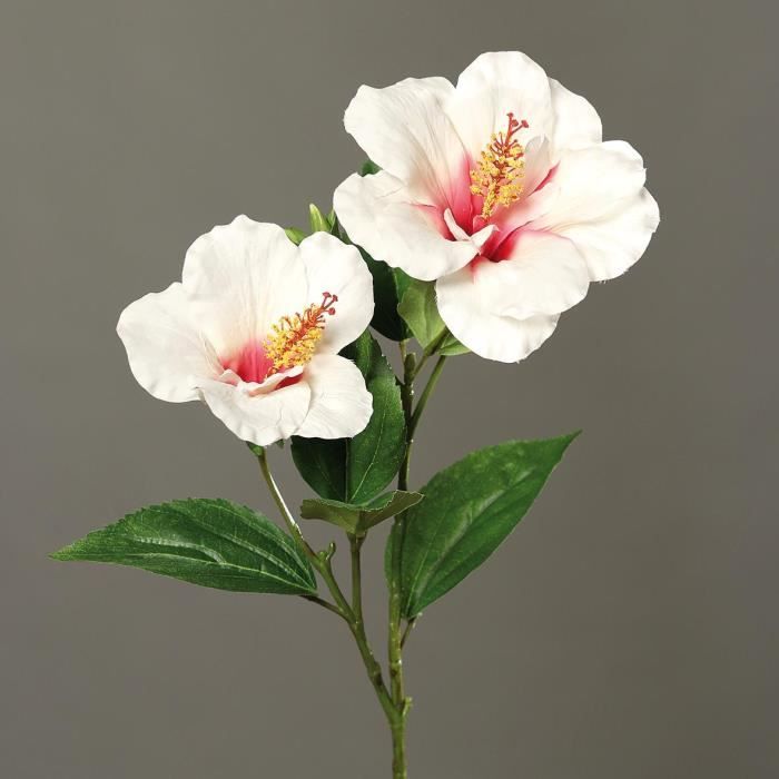 Hibiscus artificiel en branche H 65 cm 2 fleurs exotiques Crème - Cdiscount  Maison