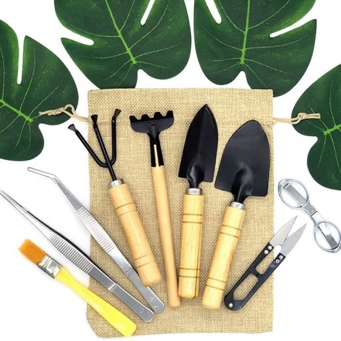 10 Mini Outils de Jardinage pour Plantes Succulentes Mini