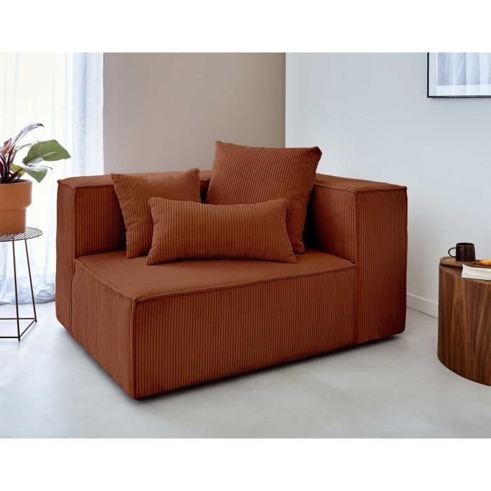Canapé modulable 2 places Velours Design Confort