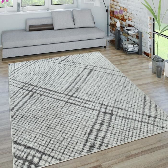 vente pas cher discount taupe treillis gris argent salon x grand prix bas tapis tapis moquettes maison