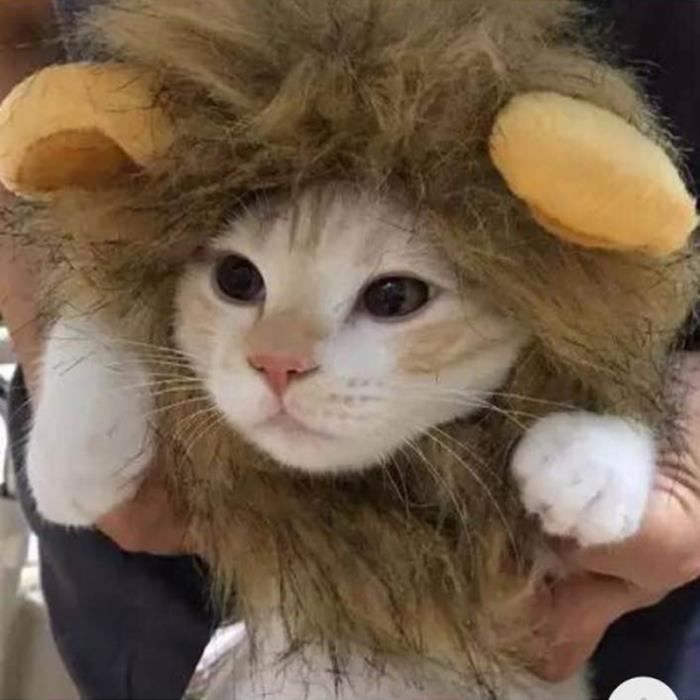 Drole Petit Chien Chat Cosplay Lion Perruque Tete Chapeau Avec Oreille Pour Chiot Chats Automne Hiver Deguisement Perruque Cdiscount